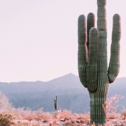 Instagram post from @liveatlasmesa on June 01, 2025 00:00:00am